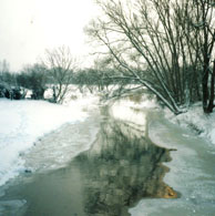 Snow 1986