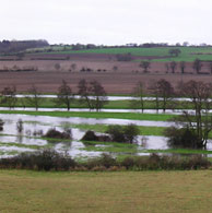 Wiston Flood