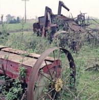 Rushbanks Farm