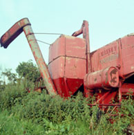 Rushbanks Farm