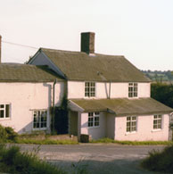 The Old Fox 