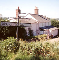 The Old Fox 