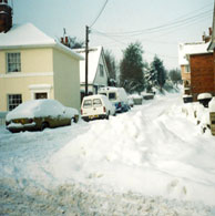 Snow 1986