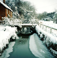 Snow 1986