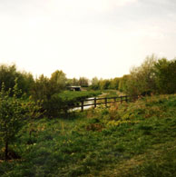 Flood Channel Nayland 