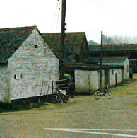 Nags Farm