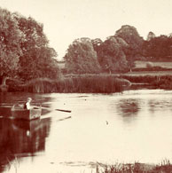 Horkesley Lock Pool, Nayland 