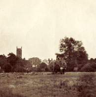 Haymaking Nayland