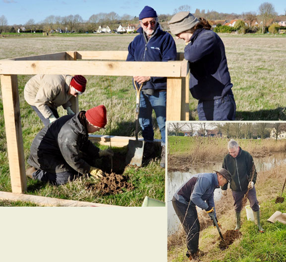 Tree Planting