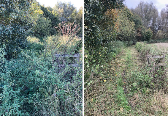 Permissive Path