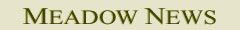 Meadow News