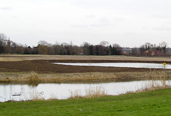 Meadow March 2005