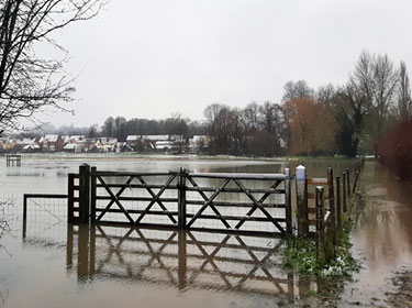 Flood