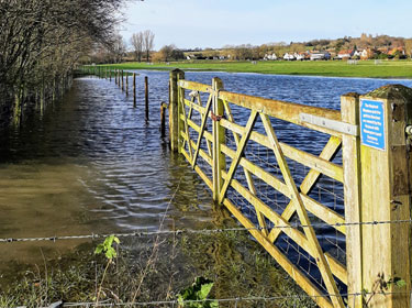 Flood
